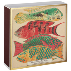 Archivist Šibice Fish