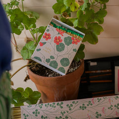 Archivist Šibice Nasturtium