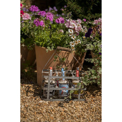 Archivist Šibice u boci The Cock