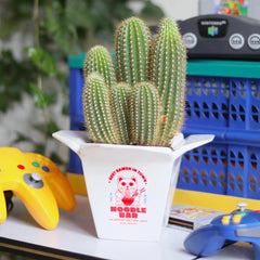 Fluid Market Keramička posuda za cvijeće Ramen