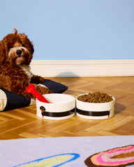 Fluid Market Zdjelica za pse Jazavčar