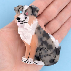 Coucou Suzette Kopča za kosu Australian Shepherd