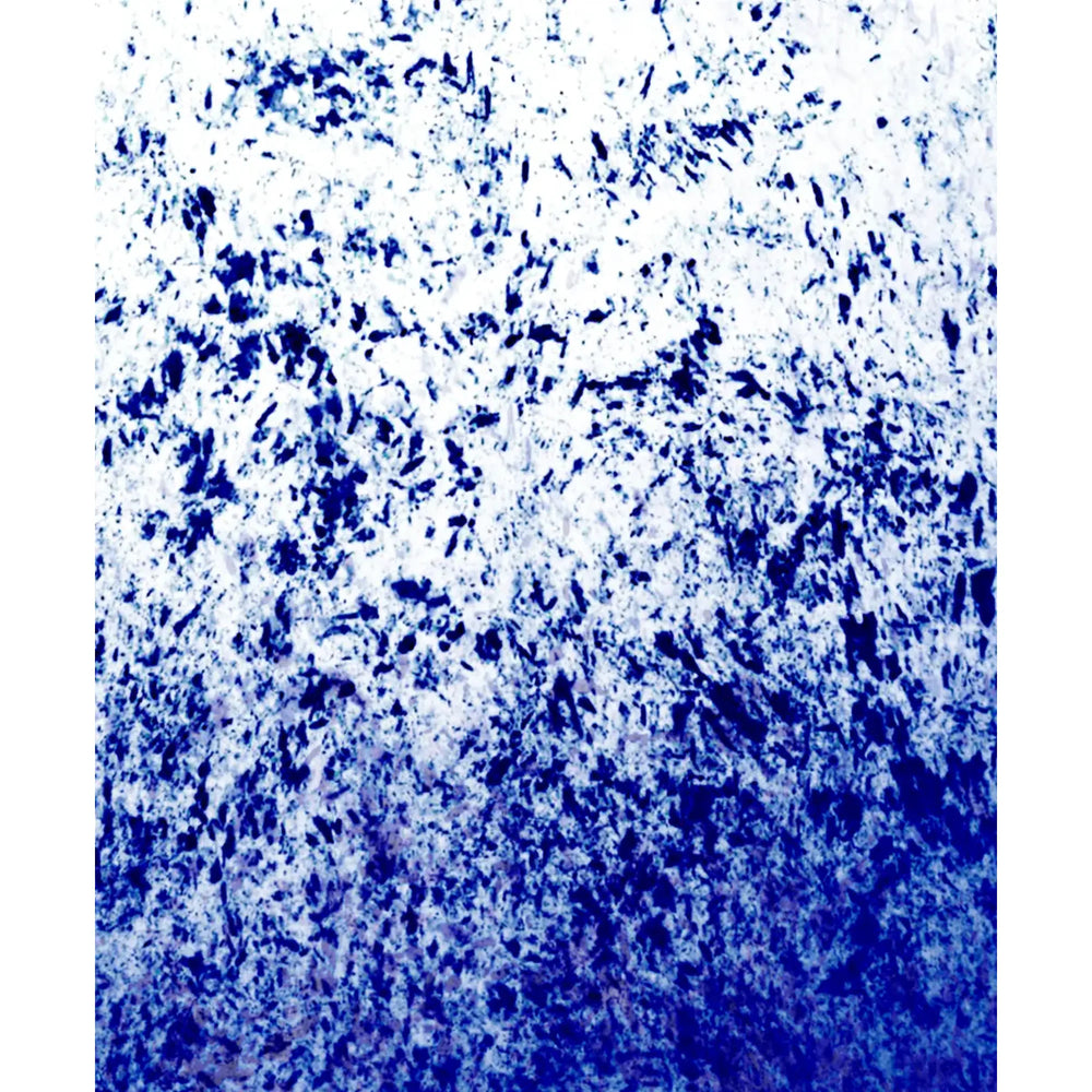 A Fan Of Lepeza Blues Splash