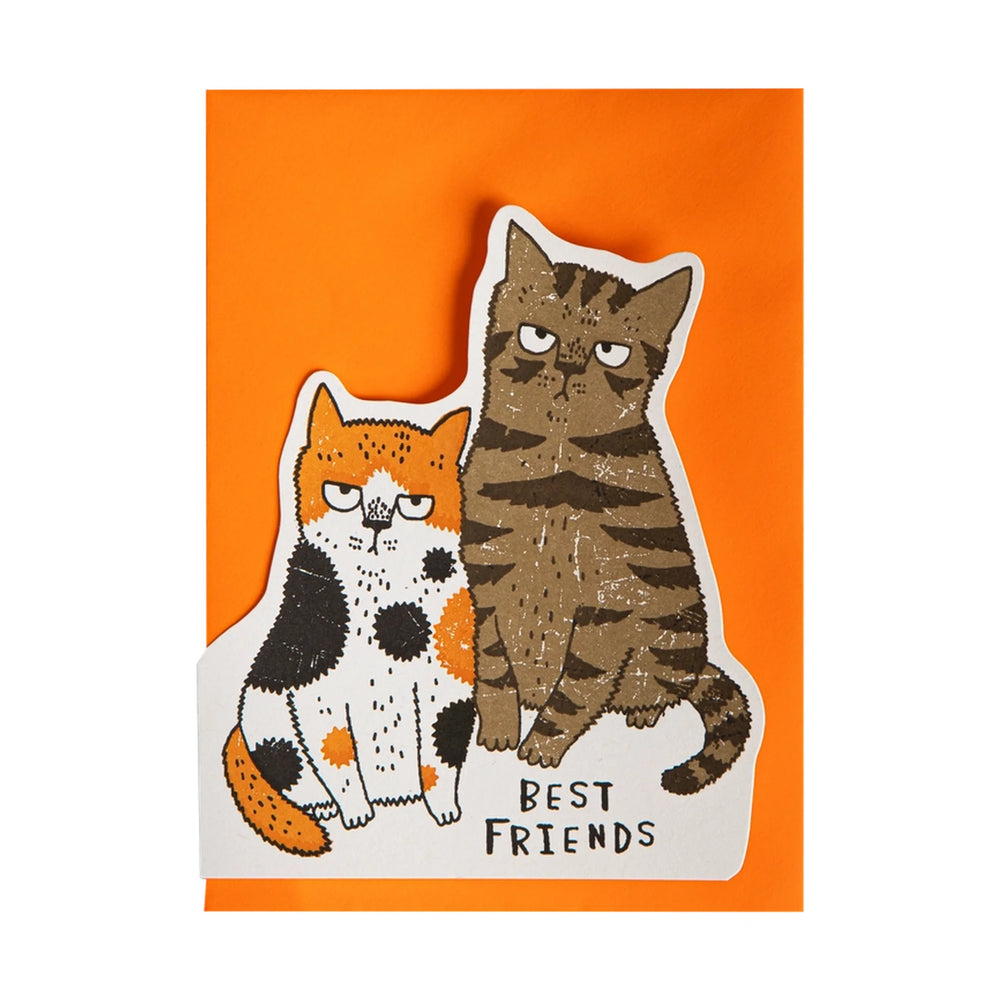 Archivist Čestitka Grumpy Cats