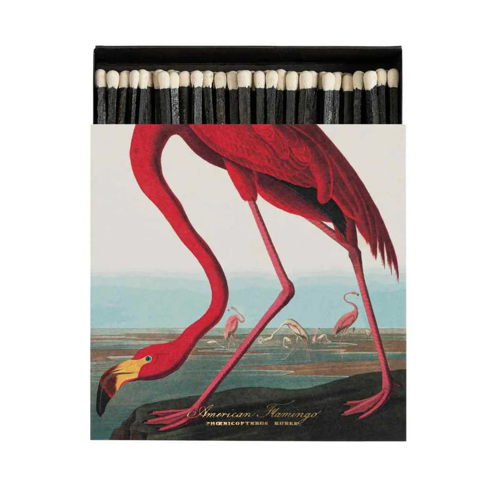 Archivist Šibice American Flamingo