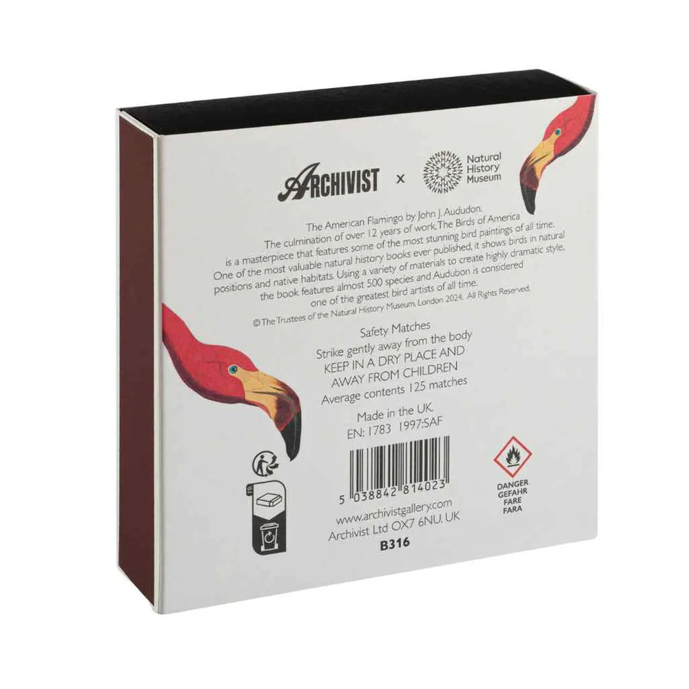 Archivist Šibice American Flamingo