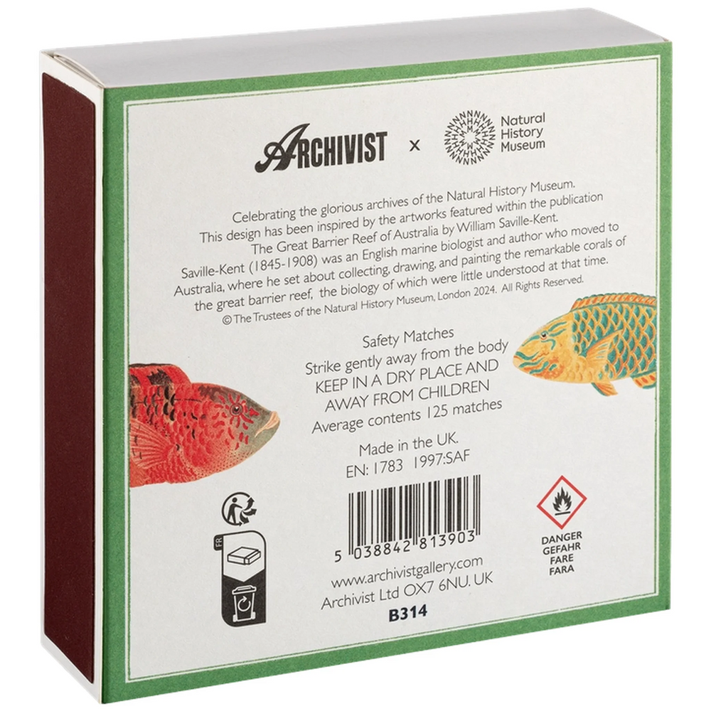 Archivist Šibice Fish