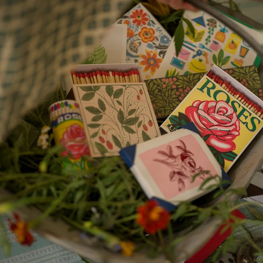 Archivist Šibice Red Rose