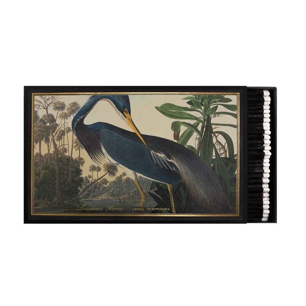 Archivist Šibice XXL Louisiana