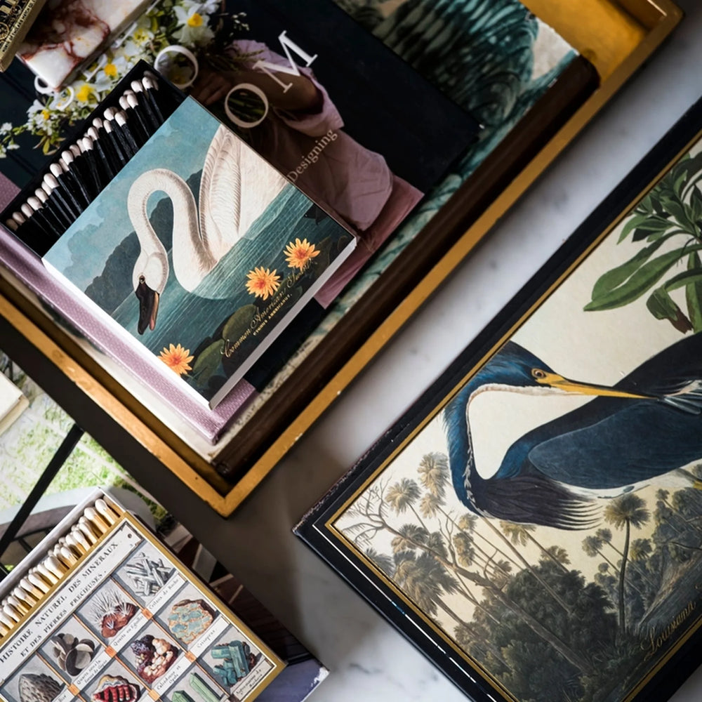 Archivist Šibice XXL Louisiana