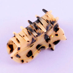 Coucou Suzette Kopča za kosu Tabby