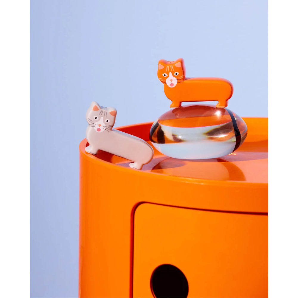 Fluid Market Set za sol i papar Cats