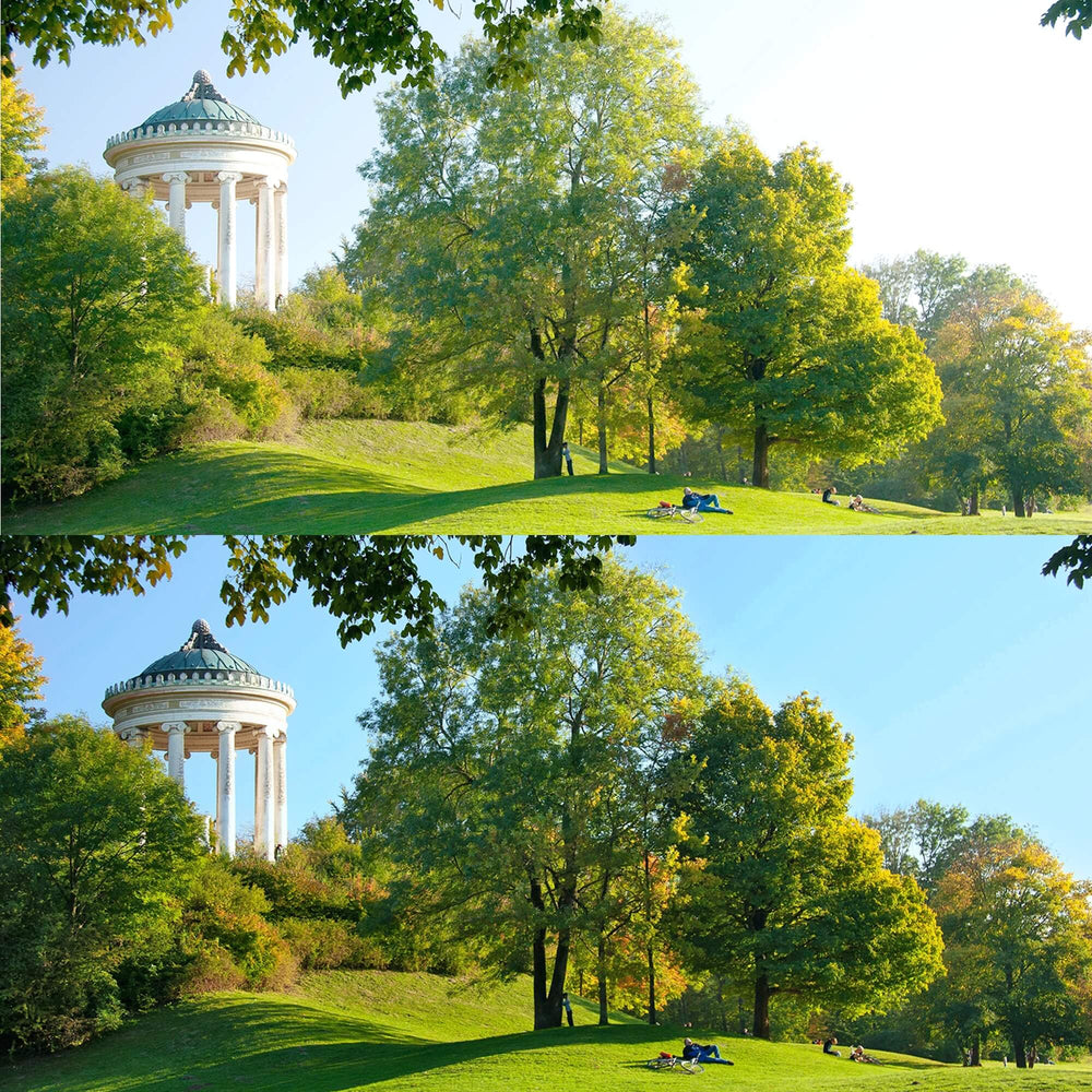 IZIPIZI SUN #E Tortoise Polarized