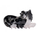 Coucou Suzette Kopča za kosu Border Collie